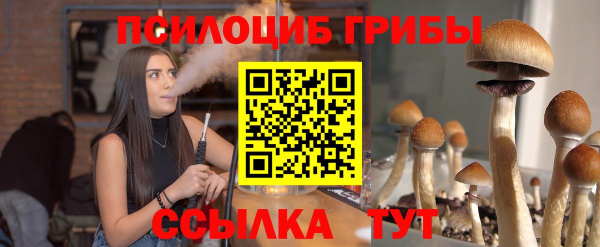 Псилоцибиновые грибы Psilocybe  Вход с VPN  Псилоцибиновые грибы Psilocybe  даркнет сайт  Вязники 
